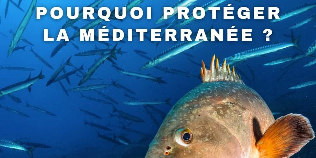 1_Pourquoi_protéger