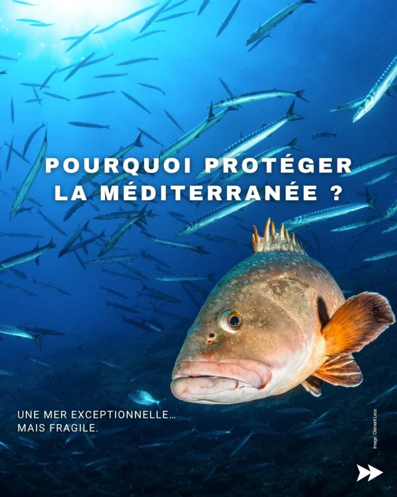 1_Pourquoi_protéger
