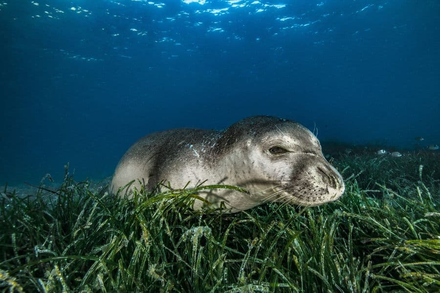 Coup de coeur du jury 2026